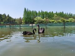 -东平国家森林公园