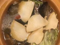 -大中鱼翅 Taitong Shark Fin