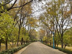 -森林公园(尖草坪区)