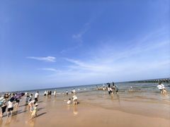 -日照海滨国家森林公园