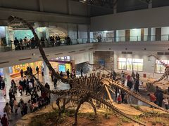 -自贡恐龙博物馆