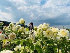 -廊坊文化艺术中心