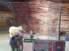 -正佳雨林生态植物园