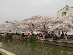 -常熟方塔园