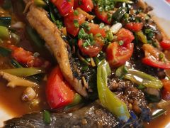 -生态苑农庄(十里画廊遇龙河店)