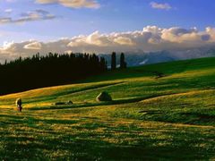 -居丽装饰空间设计(奉贤店整合到徐汇总部)