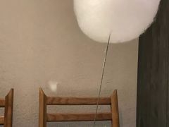 大堂-小大董·烤鸭(凤凰汇店)