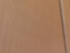 -清真军邺·金富苑肥牛(石坡街旗舰店)