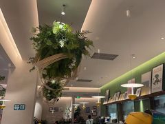 -Aqua Oasis 水天堂(太湖中心mall店)