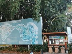 -中国科学院西双版纳热带植物园
