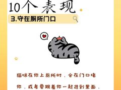 -荔康动物医院(康王北路店)