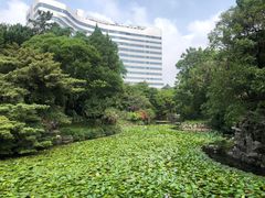-叶家花园