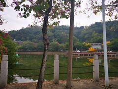 -阿弟早茶·家庭小炒·火锅(九村店)