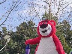 -上海迪士尼度假区