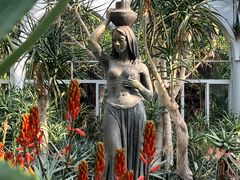 -深圳仙湖植物园