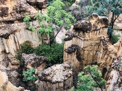 -元谋土林景区(物茂土林)