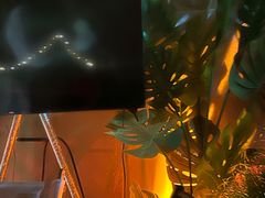 -SWAG·日咖夜酒·城市露营