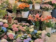 -双季花艺园艺市场(浦东店)