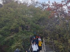 -华山风景名胜区-苍龙岭