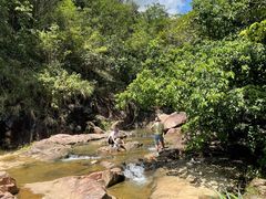 -广州白江湖森林公园