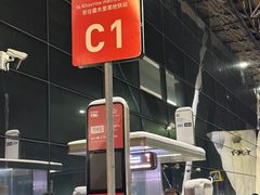 -谢列梅捷沃国际机场