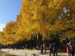 -玲珑塔公园