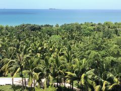 -三亚湾海居铂尔曼度假酒店