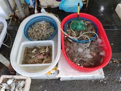 -芦潮港集贸市场