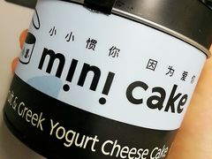 -CAKE BOSS 蛋糕老板(领展购物广场·中关村店)