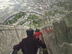 -梅岭月亮湾山体公园