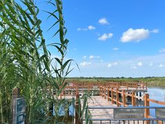 -宁波杭州湾国家湿地公园