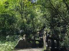 -凤栖山