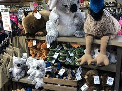 -可伦宾野生动物保护区
