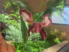 -大渔铁板烧(民盈·国贸城店)