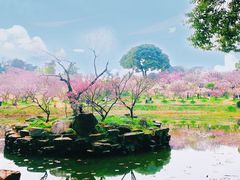 -无锡梅园公园