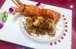 Fresh Live Lobster Shrimp