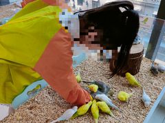 -怪兽屋·羊驼·猫咖·狗咖(俊华广场店)