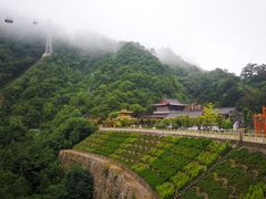 -塔云山