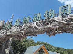 -大连森林动物园