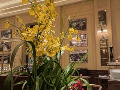 大堂-福楼法餐厅FLO