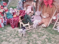 -HERRE·FARM 赫尔露营农场·团建聚会包场