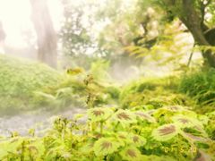 -Chom Cafe and Restaurant