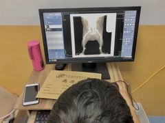 -美联众合动物医院(·中兽医·疑难杂症·严家桥分院)