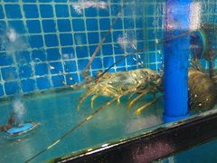 -四川小胡子海鲜(丁村万人海鲜广场店)