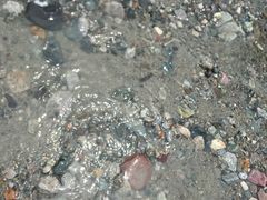 -虹口漂流