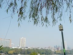 -南宁南湖公园