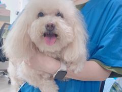 -佳雯宠物医院·皮肤科·内外科(春晓路分院)