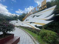 -西双版纳原始森林公园