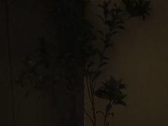 -小仙女采耳·按摩·SPA(深圳旗舰店)