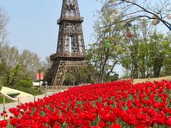 -祥源·阜阳生态乐园